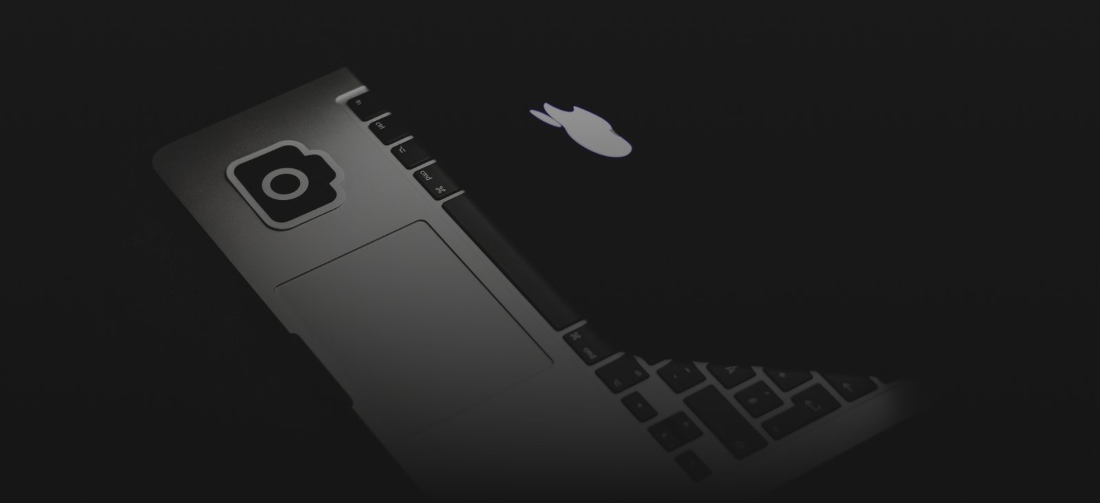 Scent in the Voyages